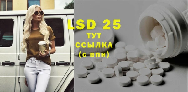 гидра Богданович