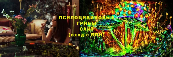 гидра Богданович