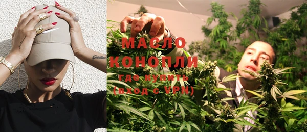 гидра Богданович