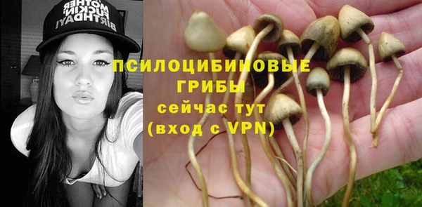 ALPHA-PVP Богородск