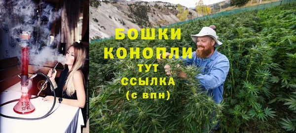 дживик Белокуриха