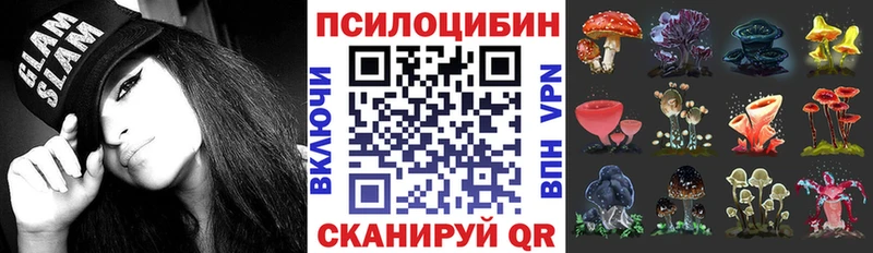 Галлюциногенные грибы мухоморы  купить наркотики сайты  Бор 